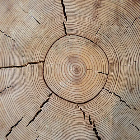 Nook Premium Apartament Zlatibor