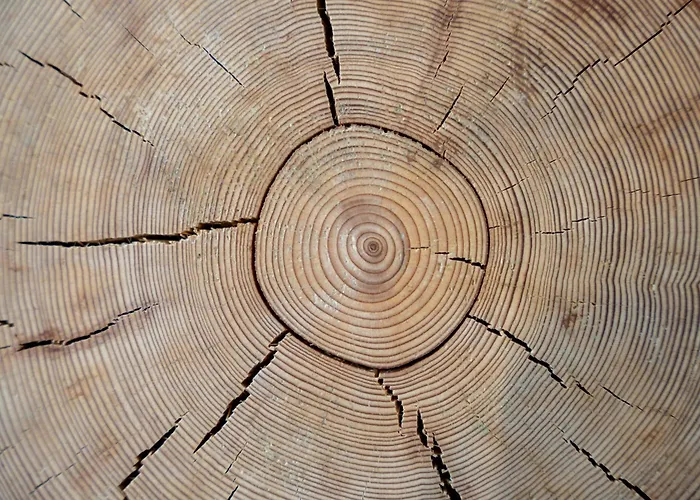 Nook Premium شقة زلاتيبور